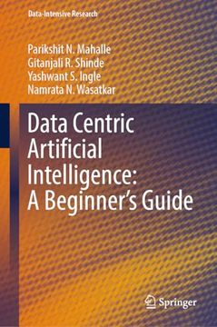 portada Data Centric Artificial Intelligence: A Beginner's Guide (in English)
