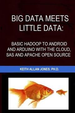 portada Big Data Meets Little Data: Basic Hadoop to Android and Arduino with SAS, R, C and Open Source Examples (en Inglés)