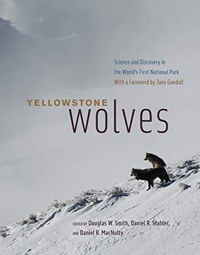portada Yellowstone Wolves: Science and Discovery in the World'S First National Park (in English)