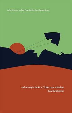 portada Swimming in Locks (in English)