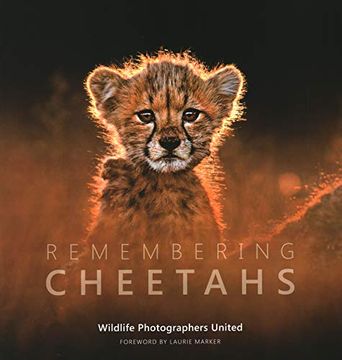 portada Remembering Cheetahs: 5 (Remembering Wildlife) 