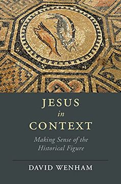 portada Jesus in Context: Making Sense of the Historical Figure (Cambridge Studies in Religion, Philosophy, and Society) (en Inglés)