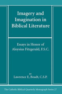 portada Imagery and Imagination in Biblical Literature (en Inglés)