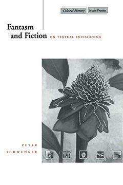 portada Fantasm and Fiction: On Textual Envisioning (Cultural Memory in the Present) (en Inglés)