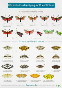 portada Guide to the Day-Flying Moths of Britain