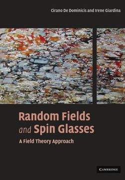 portada Random Fields and Spin Glasses: A Field Theory Approach 