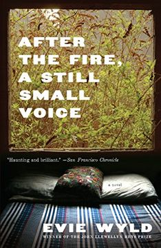 portada After the Fire, a Still Small Voice (en Inglés)