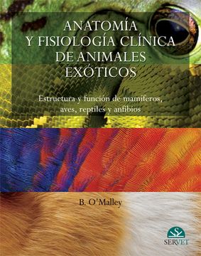 portada Anatomía y Fisiología Clínica de Animales Exóticos