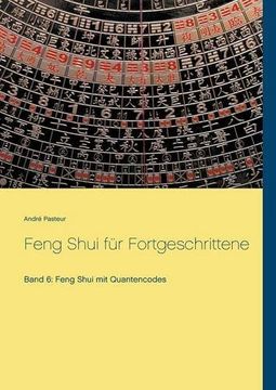 portada Feng Shui Fur Fortgeschrittene (German Edition)