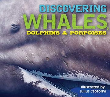 portada Discovering Whales, Dolphins & Porpoises (en Inglés)