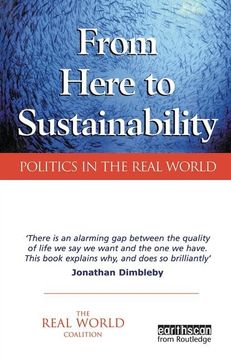 portada From Here to Sustainability: Politics in the Real World (in English)