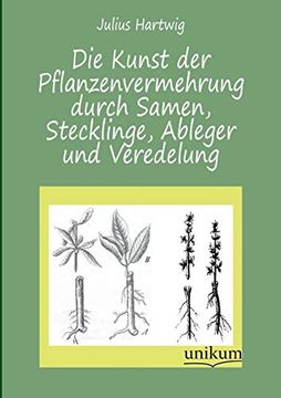 portada Die Kunst der Pflanzenvermehrung Durch Samen, Stecklinge, Ableger und Veredelung (en Alemán)