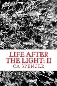 portada Life After The Light: II (en Inglés)