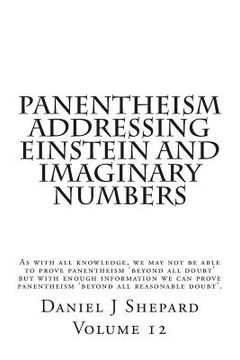 portada Panentheism Addressing Einstein and Imaginary Numbers (en Inglés)