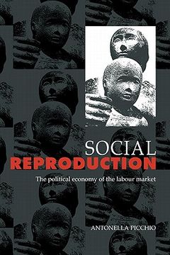portada Social Reproduction Hardback: The Political Economy of the Labour Market (en Inglés)