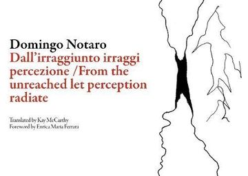portada From the Unreached let Perception Radiate (Ita Italian Literature Series) 