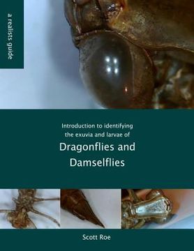 portada Introduction to identifying the exuvia and larvae of Dragonflies