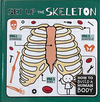 portada Set up the Skeleton (How to Build a Human Body)