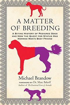 portada A Matter of Breeding: A Biting History of Pedigree Dogs and how the Quest for Status has Harmed Man's Best Friend (en Inglés)