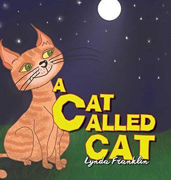 portada A cat Called cat (en Inglés)