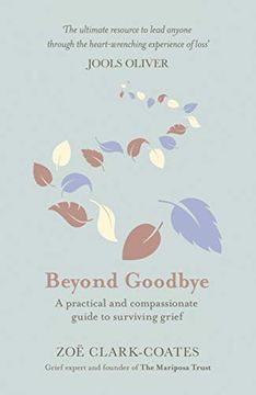 portada Beyond Goodbye: A Practical and Compassionate Guide to Surviving Grief, With Day-By-Day Resources to Navigate a Path Through Loss (in English)
