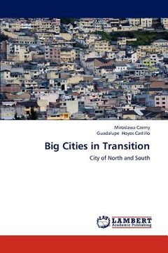 portada big cities in transition (en Inglés)