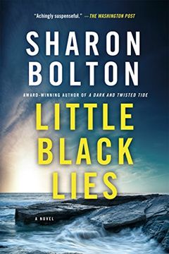 portada Little Black Lies: A Novel (in English)