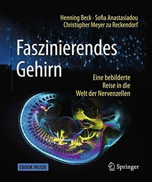 portada Faszinierendes Gehirn: Eine Bebilderte Reise in die Welt der Nervenzellen (en Alemán)