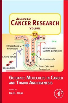 portada guidance molecules in cancer and tumor angiogenesis