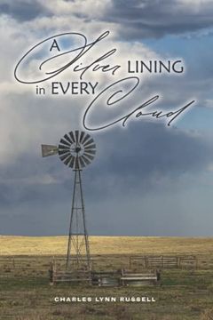 portada A Silver Lining in Every Cloud (Sky) (in English)