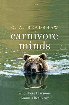 portada Carnivore Minds: Who These Fearsome Animals Really are (en Inglés)