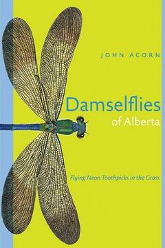 portada Damselflies of Alberta: Flying Neon Toothpicks in the Grass (Alberta Insects Series)