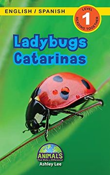 portada Ladybugs (in Spanish)