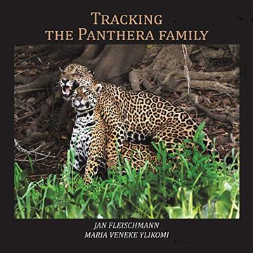 portada Tracking the Panthera Family (en Inglés)