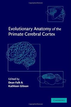 portada Evolutionary Anatomy of the Primate Cerebral Cortex (en Inglés)