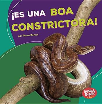 portada ¡Es Una Boa Constrictora! (It's a Boa Constrictor!)