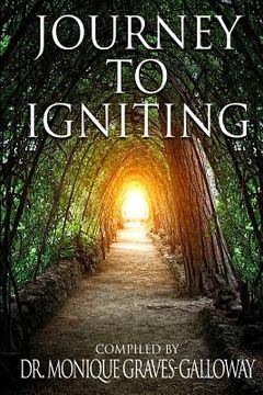 portada Journey to Igniting (in English)
