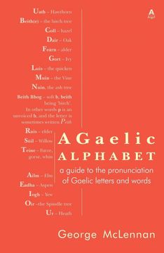 portada A Gaelic Alphabet: A Guide to the Pronunciation of Gaelic Letters and Words (in English)