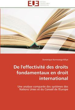 portada de L'Effectivite Des Droits Fondamentaux En Droit International