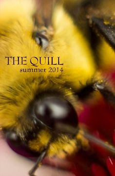 portada The Quill: (Summer 2014): Volume 1 (The Quill 2014)