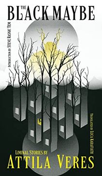 portada The Black Maybe: Liminal Tales (en Inglés)