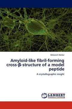 portada amyloid-like fibril-forming cross- -structure of a model peptide (en Inglés)