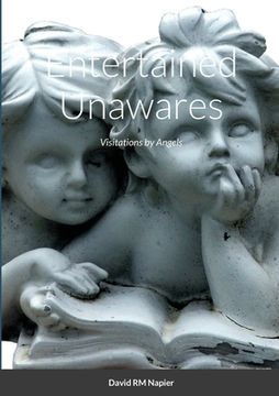 portada Entertained Unawares: Visitations by Angels (en Inglés)