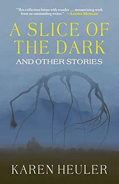 portada A Slice of the Dark and Other Stories (en Inglés)