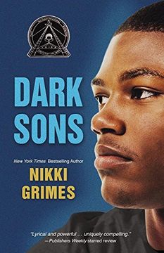 portada Dark Sons (Blink) (in English)