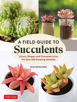 portada A Field Guide to Succulents: Colors, Shapes and Characteristics for Over 200 Amazing Varieties (en Inglés)