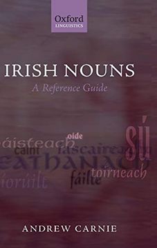 portada Irish Nouns: A Reference Guide (Oxford Linguistics) (in English)