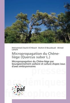 portada Micropropagation du Chêne-liège (Quercus suber L.): Micropropagation du Chêne-liège par bourgeonnement axillaire et culture d'apex issus d'axes embryonnaires