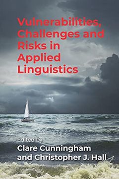 portada Vulnerabilities, Challenges and Risks in Applied Linguistics (en Inglés)