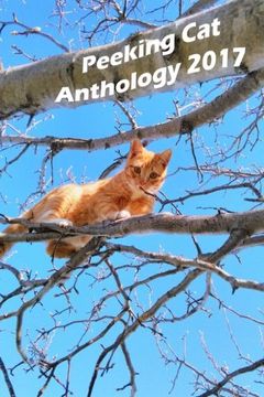 portada Peeking Cat Anthology 2017